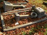 image of grave number 171875